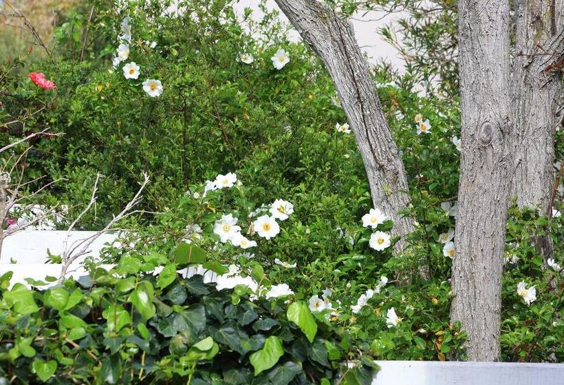 Bed and Breakfast Fynbos Corner Cottage 12