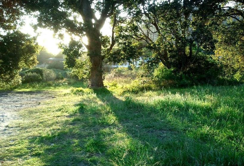 Bed and Breakfast Fynbos Corner Cottage 15