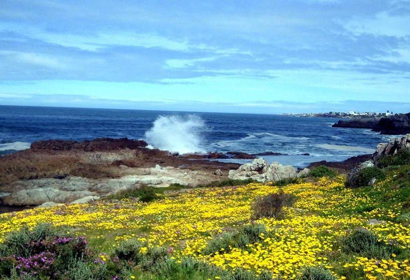 Bed and Breakfast Fynbos Corner Cottage 16