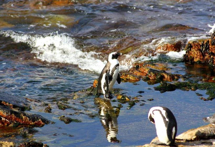 Bed and Breakfast Fynbos Corner Cottage 18