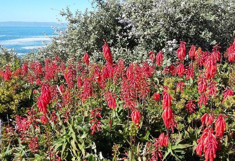 Bed and Breakfast Fynbos Corner Cottage 19
