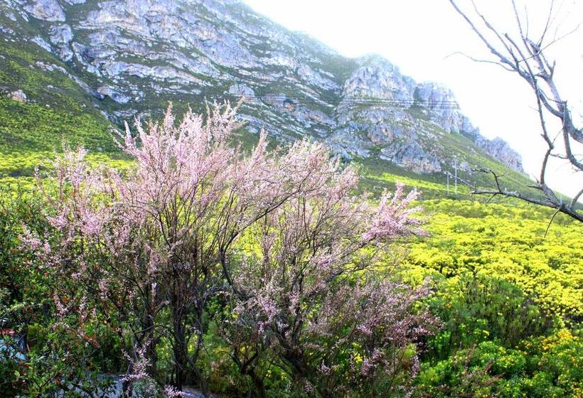 Bed and Breakfast Fynbos Corner Cottage 7