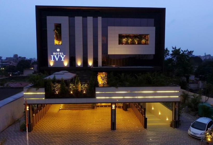 Hotel Ivy 5