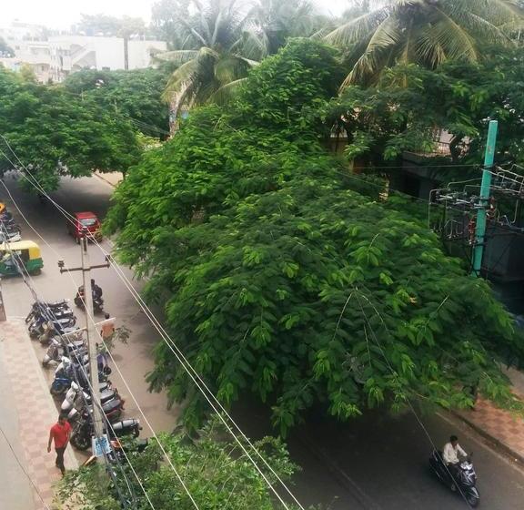 The Little Blue Window Hostel 19