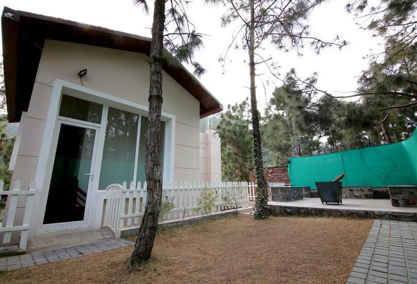 Jungle Lodge Resort 10