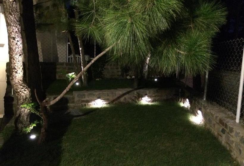 Jungle Lodge Resort 11