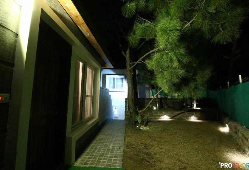 Jungle Lodge Resort 12