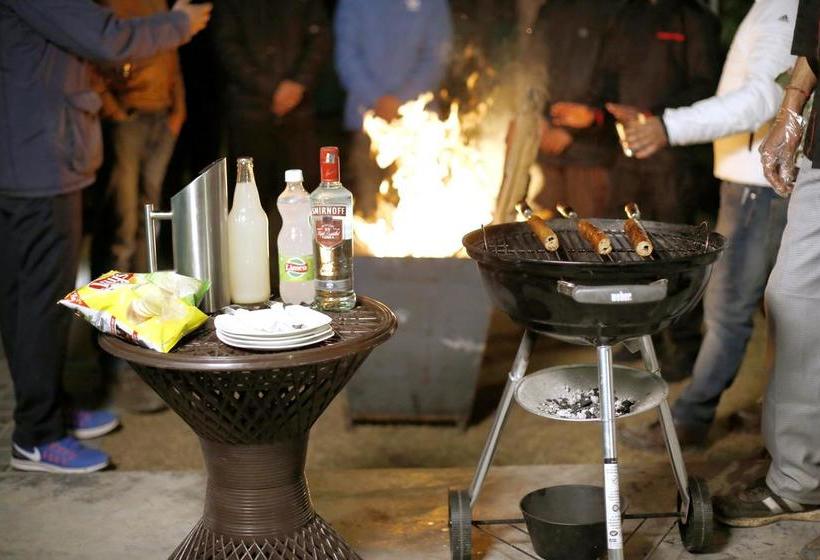 Jungle Lodge Resort 15