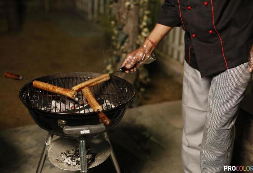 Jungle Lodge Resort 16