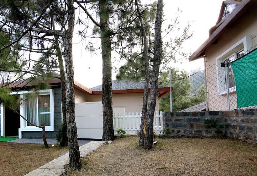 Jungle Lodge Resort 9