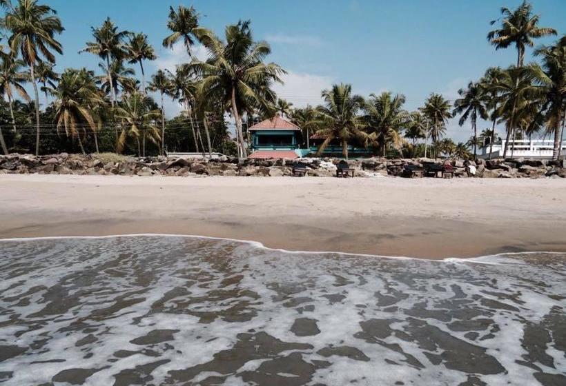 Bed and Breakfast Majo House 8