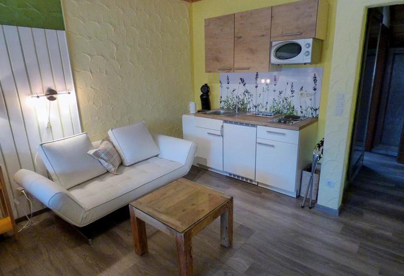 Hôtel Engelhof Garni 17