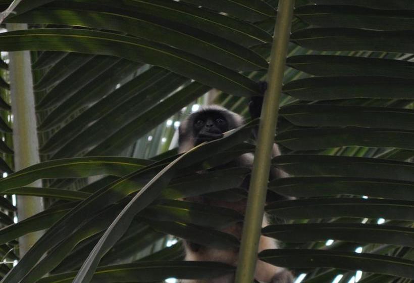 Hotel Tutti Garden Bungalows 11