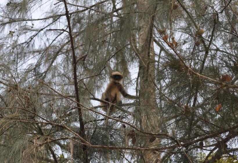 Hotel Tutti Garden Bungalows 12