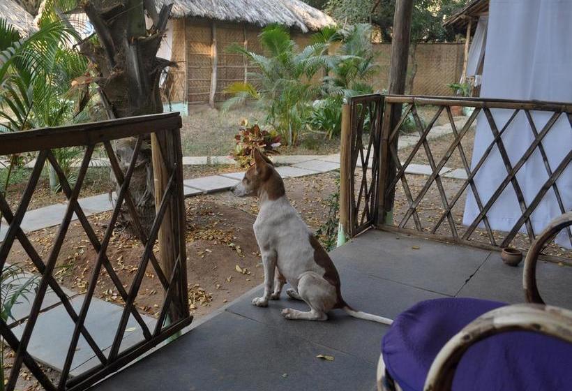 Hotel Tutti Garden Bungalows 13