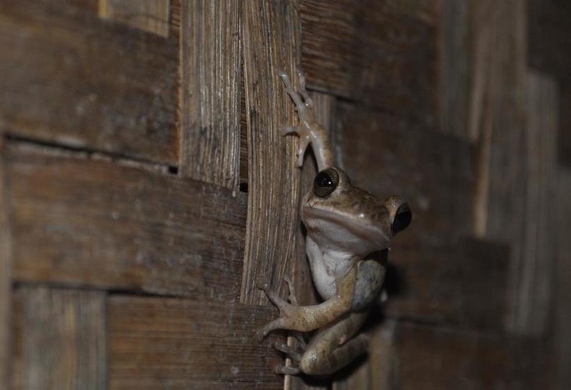 Hotel Tutti Garden Bungalows 3