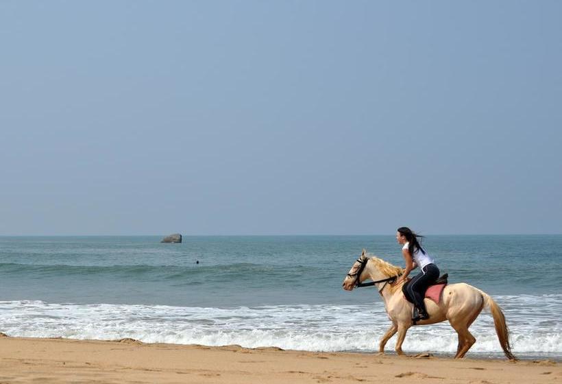 Hotel Tutti Garden Bungalows 6