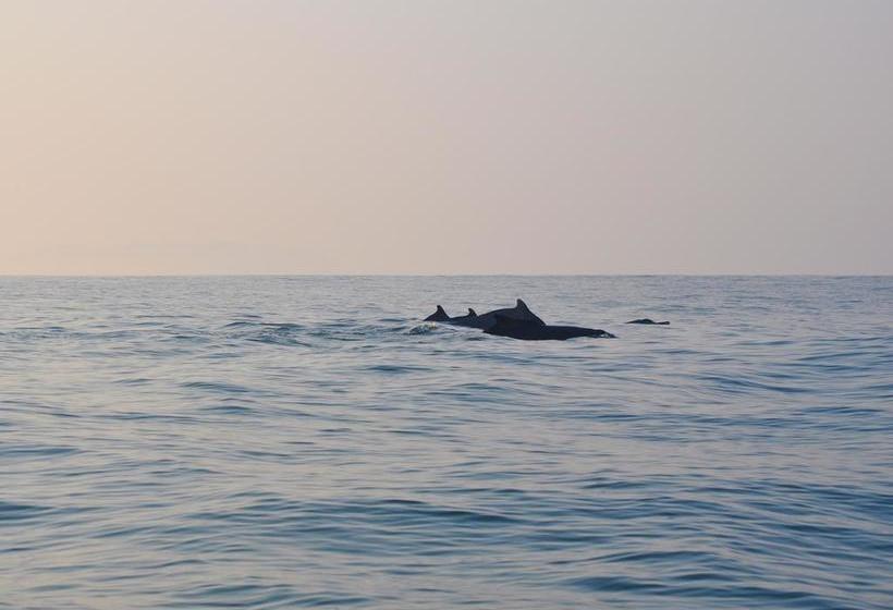 Hotel Tutti Garden Bungalows 7