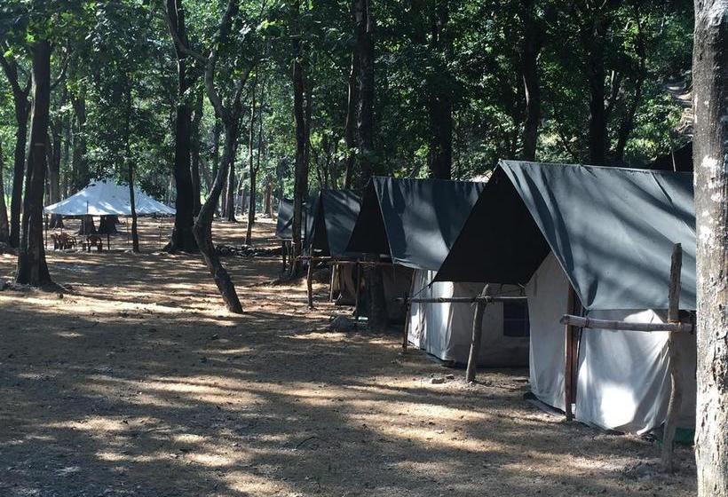 Hotel Paradise Camp Adventure Shivpuri