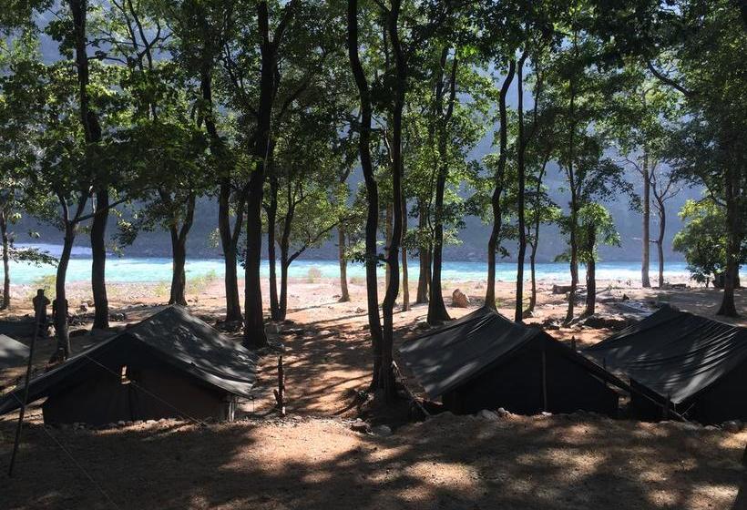 Hotel Paradise Camp Adventure 2