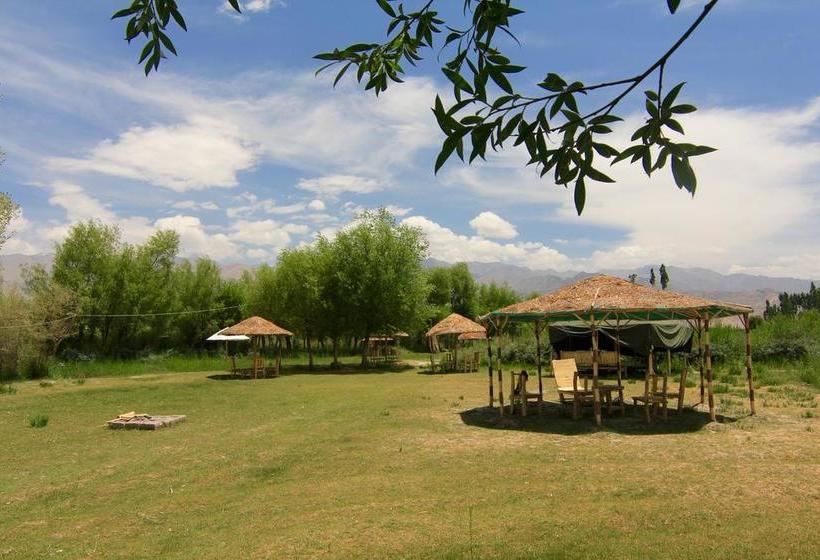 The Last Resort Ladakh 12