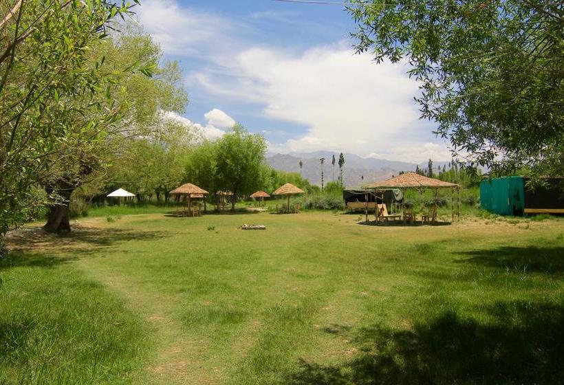 The Last Resort Ladakh 13