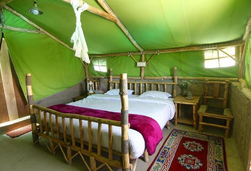 The Last Resort Ladakh 16