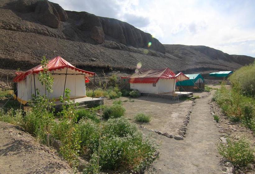 The Last Resort Ladakh 17