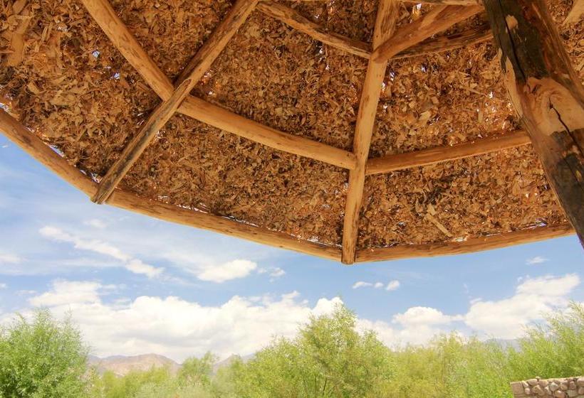 The Last Resort Ladakh 18