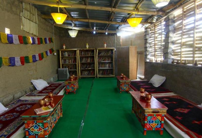 The Last Resort Ladakh 19