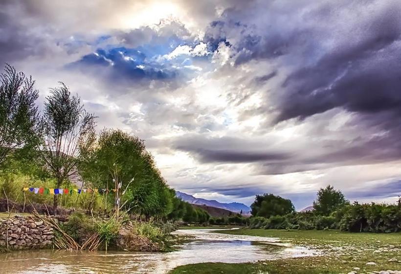 The Last Resort Ladakh 3