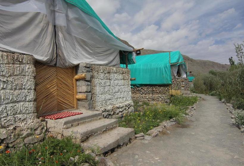 The Last Resort Ladakh 8