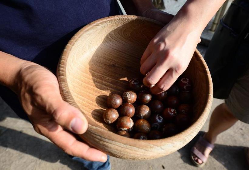 Hotel Saksuksmile Resort 7