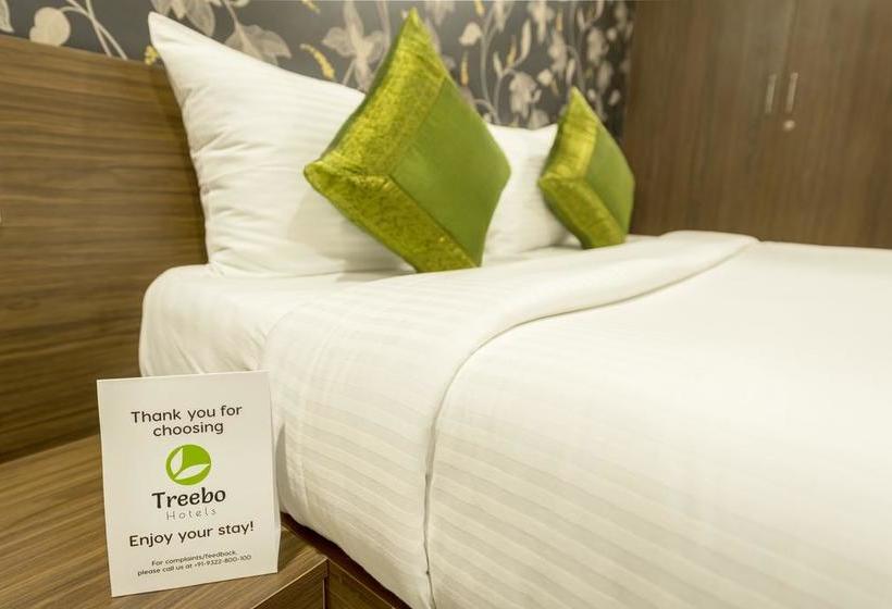 Hotel Treebo Shree Krishn Comfort 14