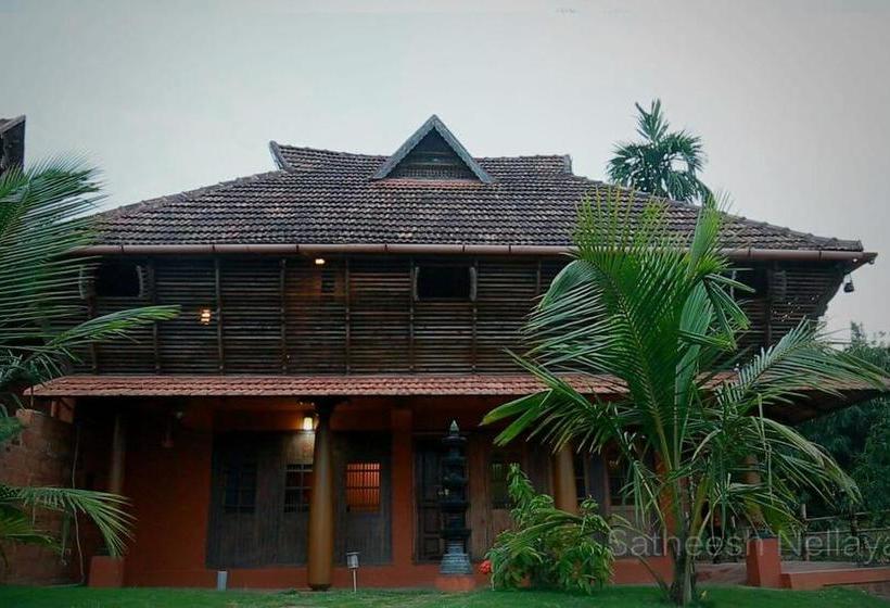 Thejas Resorts Wayanad 2