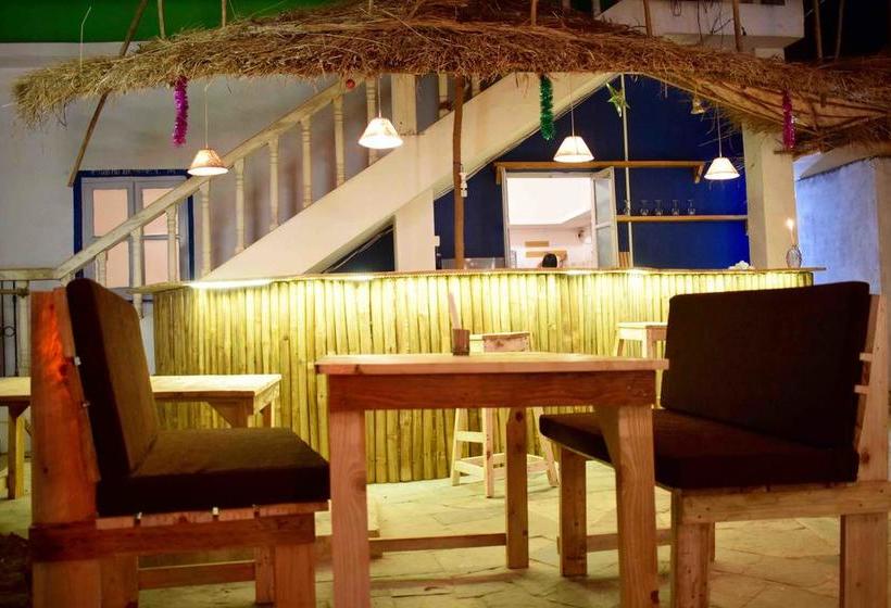 Caterpillar Hostel Goa
