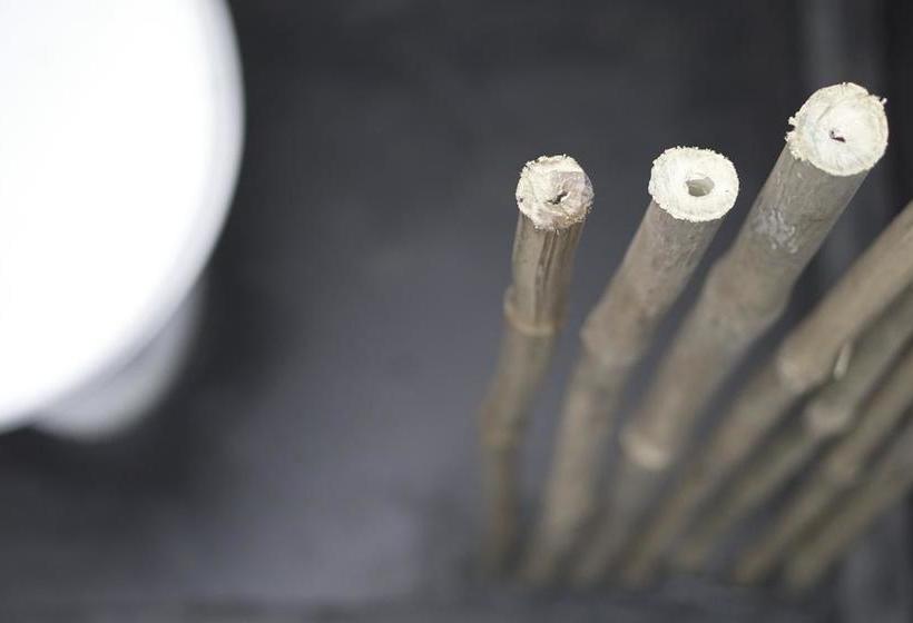 Corvo Rindo Resort & Restaurant 17