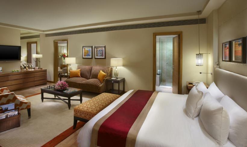 Hotel Minakshi International 4