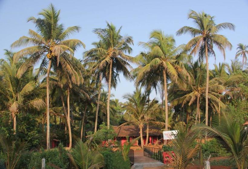 The Yuppi Hippi Female Hostel