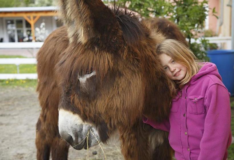 Hotel Lavendelhof 12