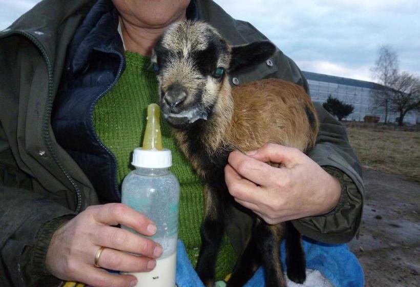 Hotel Lavendelhof 13