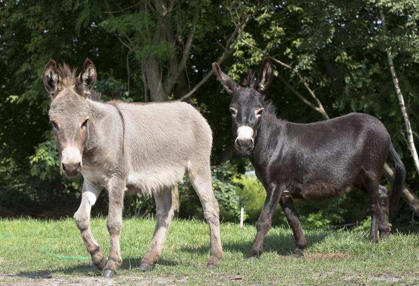 Hotel Lavendelhof 14