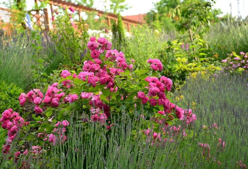 Hotel Lavendelhof 16