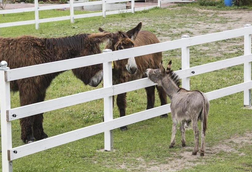 Hotel Lavendelhof 17