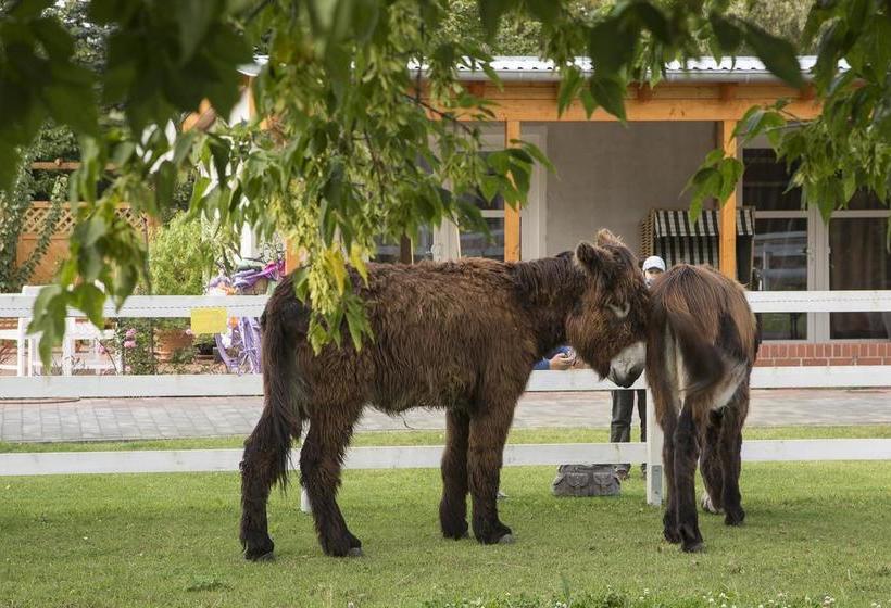 Hotel Lavendelhof 19