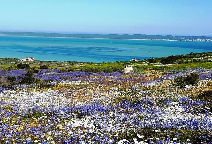 Hotel Seasons Of Serenity 15