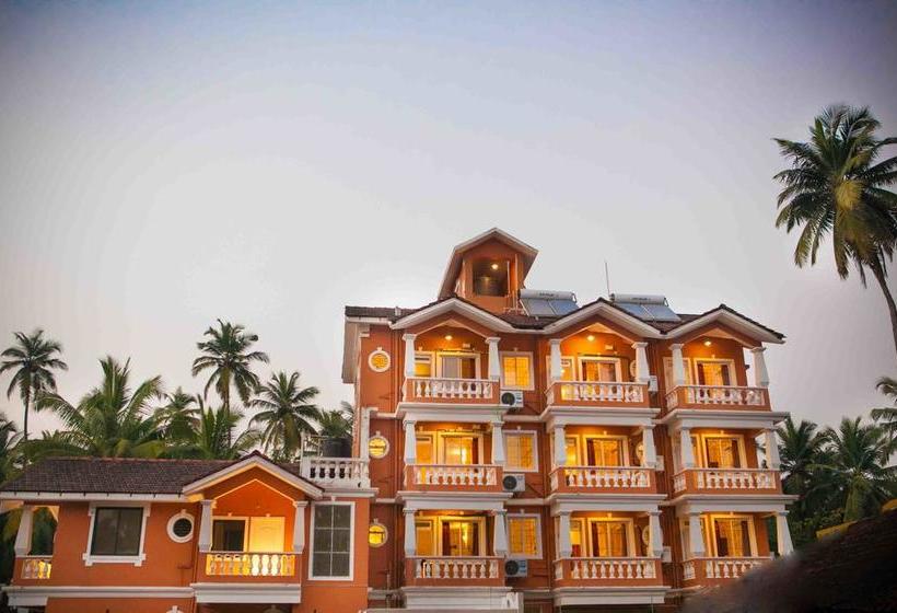 Hotel Treehouse Nova 11