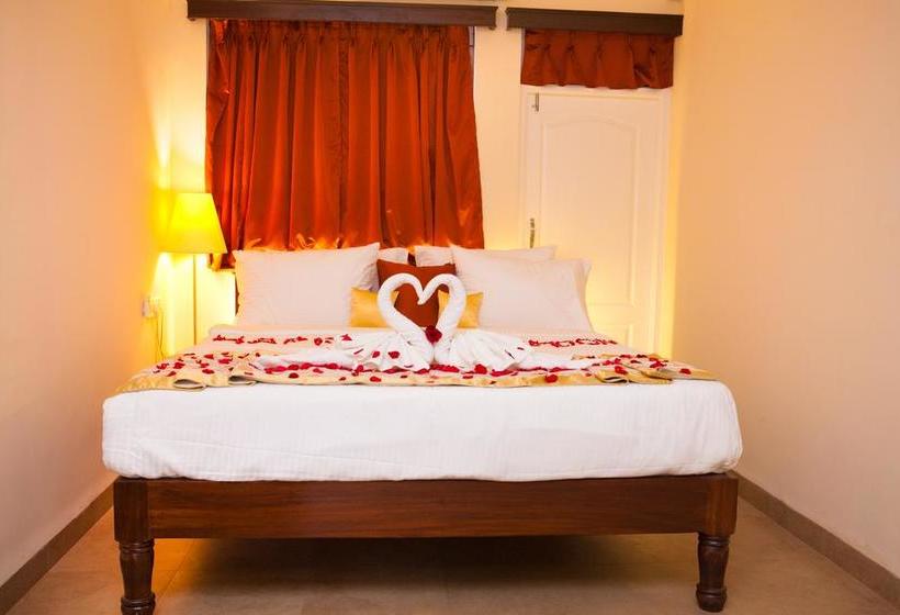 Hotel Treehouse Nova 18