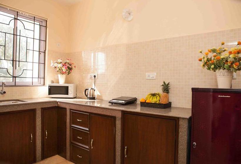 Hotel Treehouse Nova 9