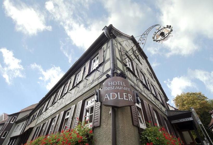 Hotel Adler 8